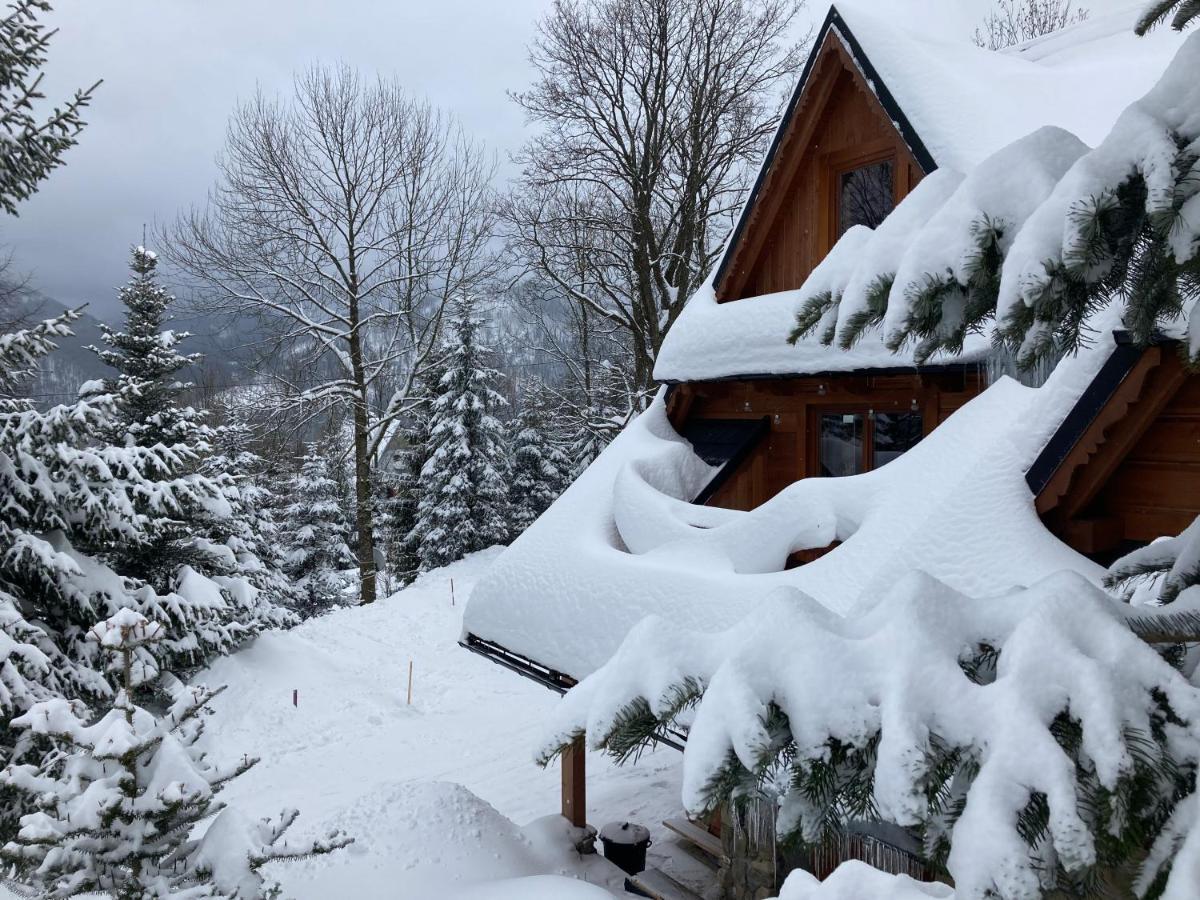Mountain Dream Apartment Koscielisko Luaran gambar